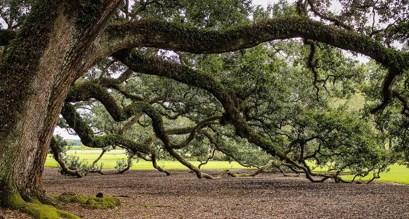 ddos网页在线攻击
